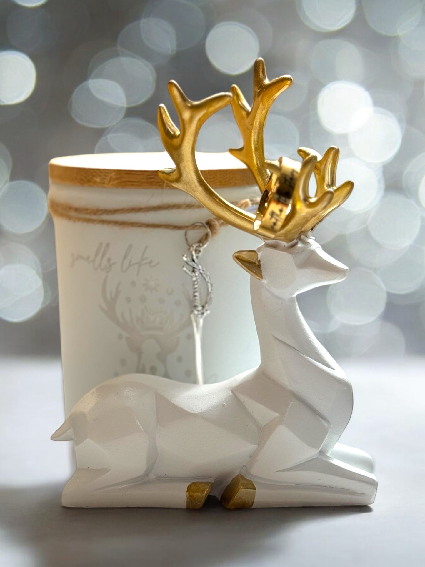 Throne of Glass Book Box | Terrasen Gift Box | Bookish Box